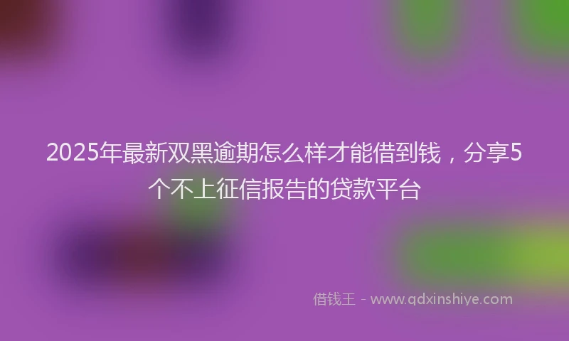 2025年最新双黑逾期怎么样才能借到钱，分享5个不上征信报告的贷款平台