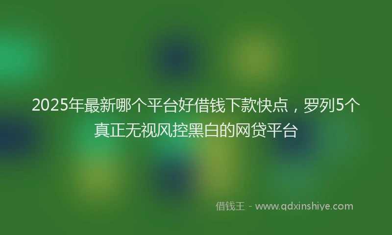 2025年最新哪个平台好借钱下款快点，罗列5个真正无视风控黑白的网贷平台