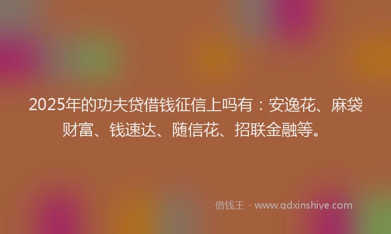 2025年的功夫贷借钱征信上吗有：安逸花、麻袋财富、钱速达、随信花、招联金融等。