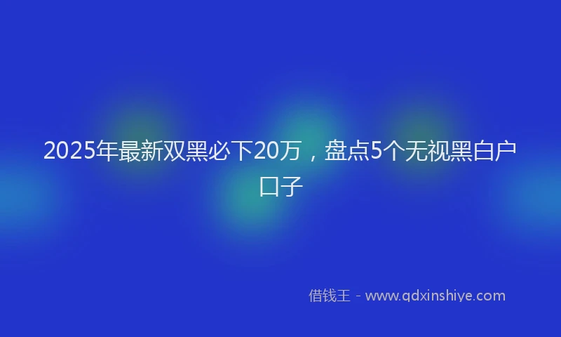 2025年最新双黑必下20万，盘点5个无视黑白户口子