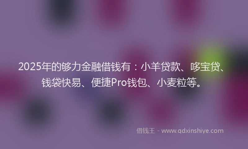 2025年的够力金融借钱有：小羊贷款、哆宝贷、钱袋快易、便捷Pro钱包、小麦粒等。