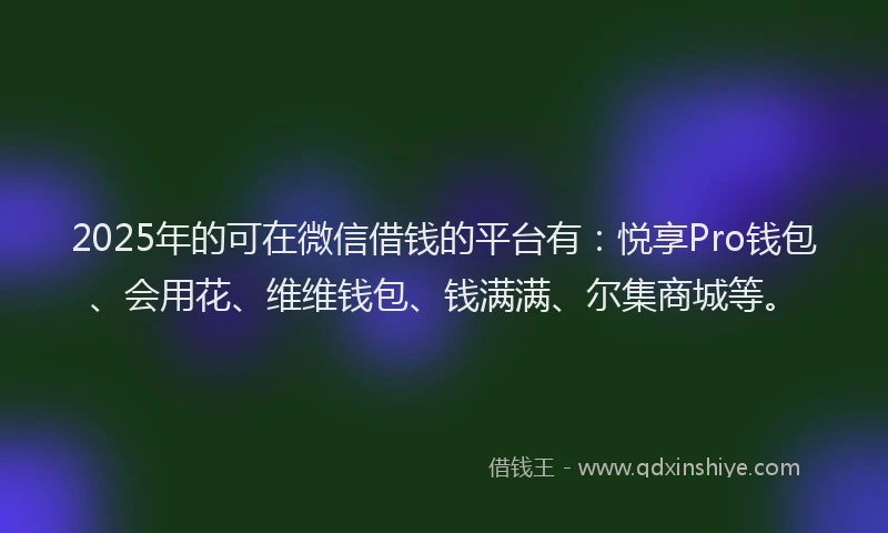 2025年的可在微信借钱的平台有：悦享Pro钱包、会用花、维维钱包、钱满满、尔集商城等。