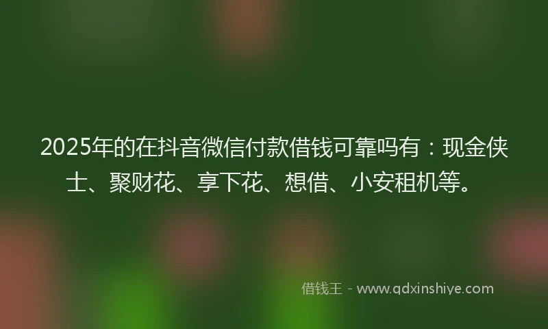 2025年的在抖音微信付款借钱可靠吗有：现金侠士、聚财花、享下花、想借、小安租机等。