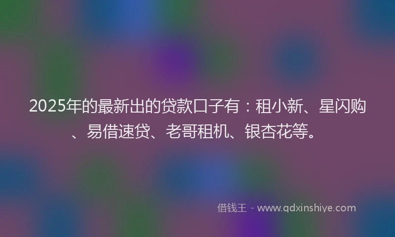 2025年的最新出的贷款口子有：租小新、星闪购、易借速贷、老哥租机、银杏花等。