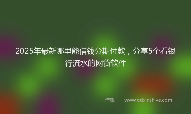 2025年最新哪里能借钱分期付款，分享5个看银行流水的网贷软件