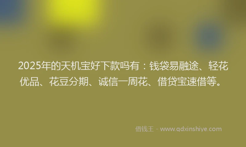 2025年的天机宝好下款吗有：钱袋易融途、轻花优品、花豆分期、诚信一周花、借贷宝速借等。