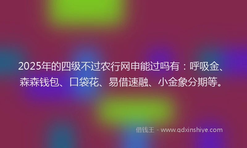 2025年的四级不过农行网申能过吗有：呼吸金、森森钱包、口袋花、易借速融、小金象分期等。