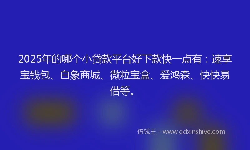 2025年的哪个小贷款平台好下款快一点有：速享宝钱包、白象商城、微粒宝盒、爱鸿森、快快易借等。