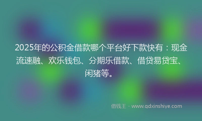 2025年的公积金借款哪个平台好下款快有：现金流速融、欢乐钱包、分期乐借款、借贷易贷宝、闲猪等。
