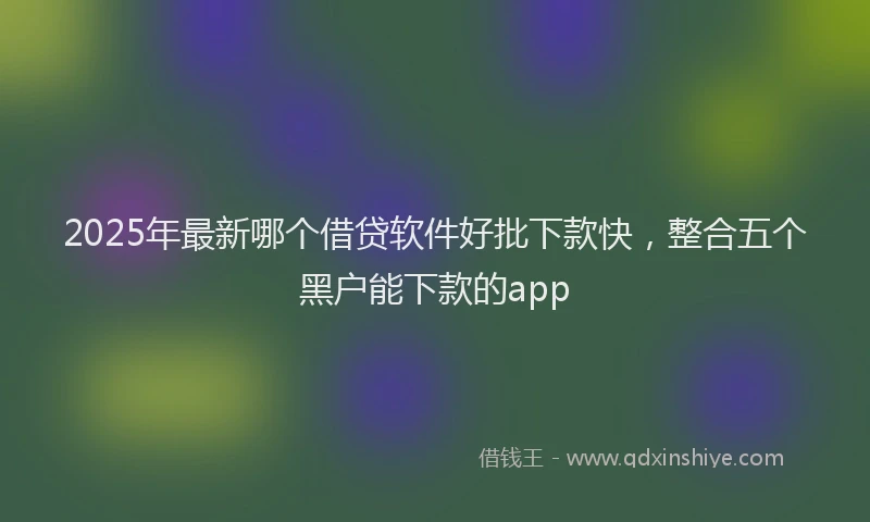 2025年最新哪个借贷软件好批下款快，整合五个黑户能下款的app