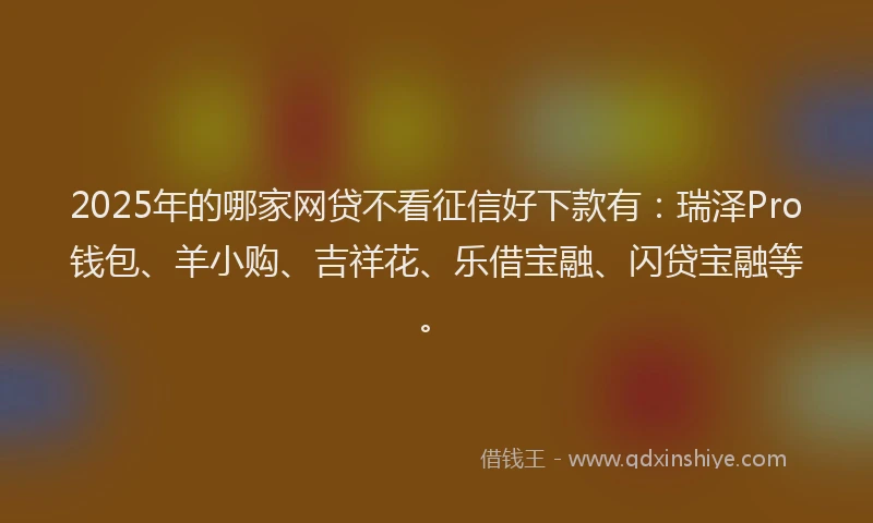 2025年的哪家网贷不看征信好下款有：瑞泽Pro钱包、羊小购、吉祥花、乐借宝融、闪贷宝融等。