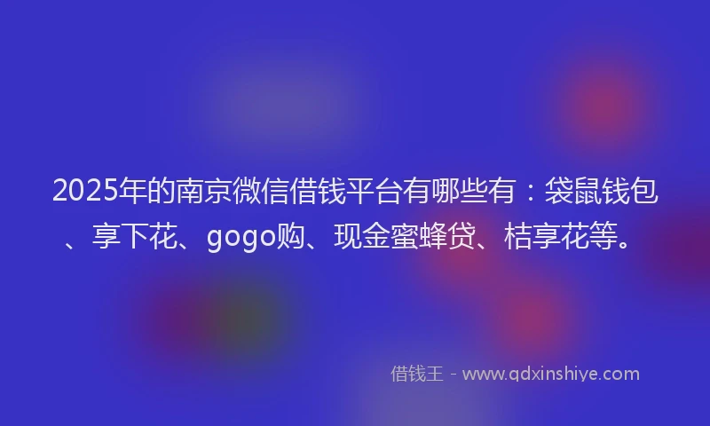 2025年的南京微信借钱平台有哪些有：袋鼠钱包、享下花、gogo购、现金蜜蜂贷、桔享花等。