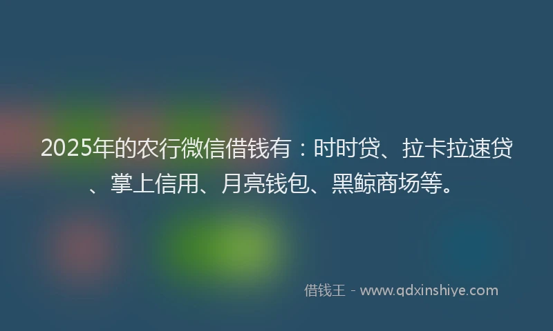 2025年的农行微信借钱有：时时贷、拉卡拉速贷、掌上信用、月亮钱包、黑鲸商场等。