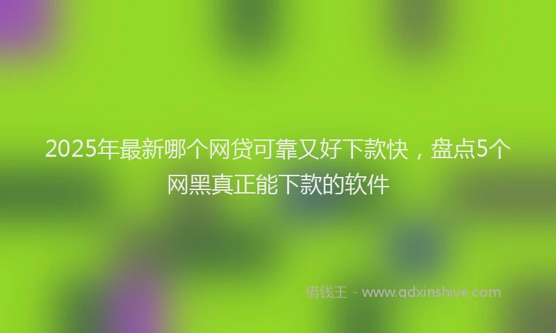2025年最新哪个网贷可靠又好下款快，盘点5个网黑真正能下款的软件