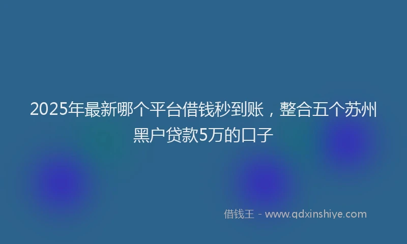 2025年最新哪个平台借钱秒到账，整合五个苏州黑户贷款5万的口子