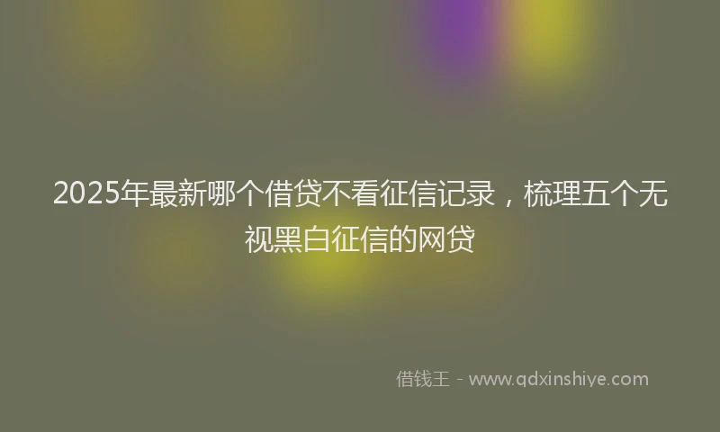 2025年最新哪个借贷不看征信记录，梳理五个无视黑白征信的网贷