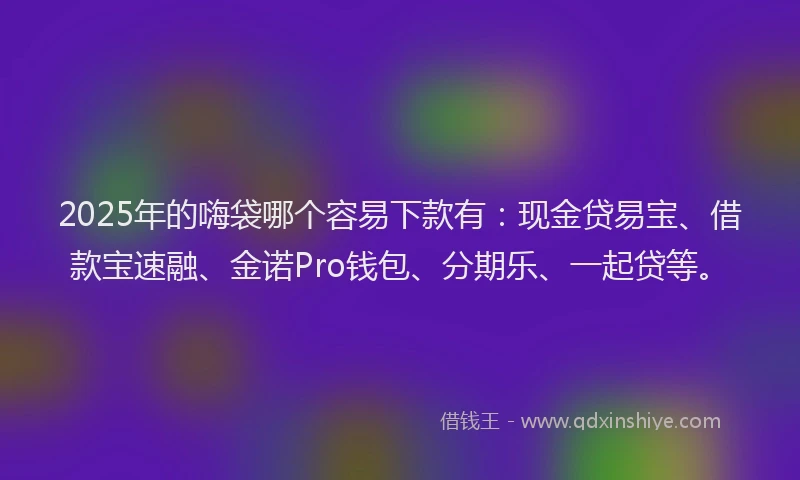 2025年的嗨袋哪个容易下款有：现金贷易宝、借款宝速融、金诺Pro钱包、分期乐、一起贷等。