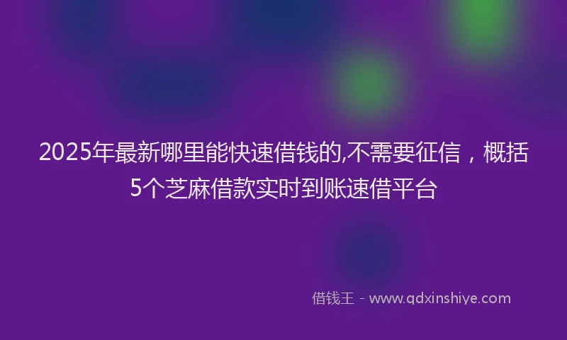 2025年最新哪里能快速借钱的,不需要征信，概括5个芝麻借款实时到账速借平台