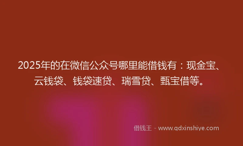 2025年的在微信公众号哪里能借钱有：现金宝、云钱袋、钱袋速贷、瑞雪贷、甄宝借等。