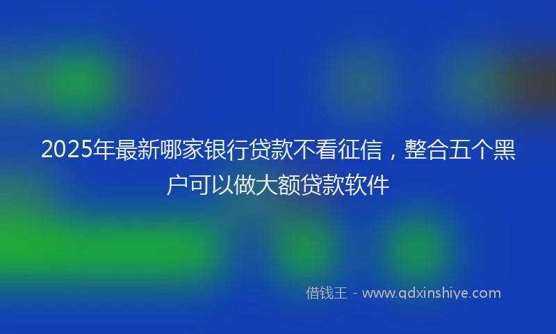 2025年最新哪家银行贷款不看征信，整合五个黑户可以做大额贷款软件