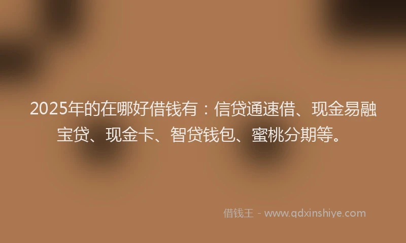 2025年的在哪好借钱有：信贷通速借、现金易融宝贷、现金卡、智贷钱包、蜜桃分期等。