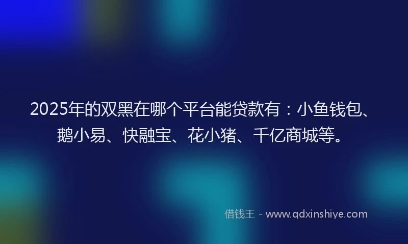 2025年的双黑在哪个平台能贷款有：小鱼钱包、鹅小易、快融宝、花小猪、千亿商城等。
