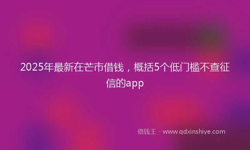 2025年最新在芒市借钱，概括5个低门槛不查征信的app