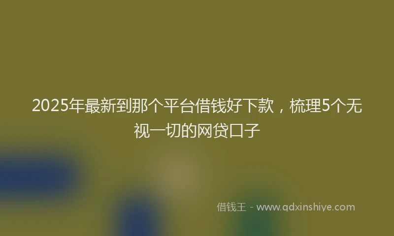 2025年最新到那个平台借钱好下款，梳理5个无视一切的网贷口子