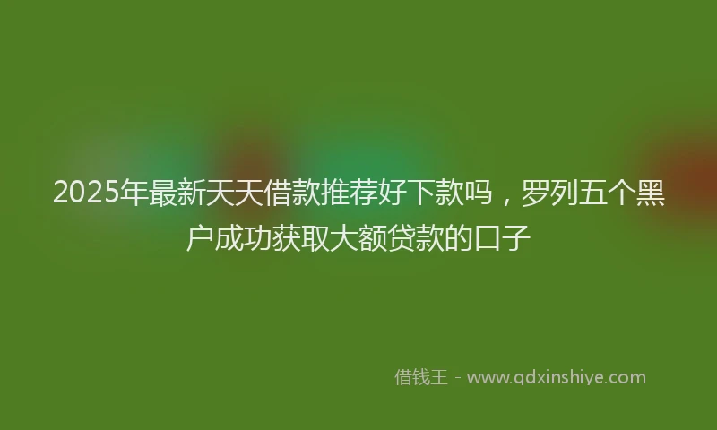 2025年最新天天借款推荐好下款吗，罗列五个黑户成功获取大额贷款的口子
