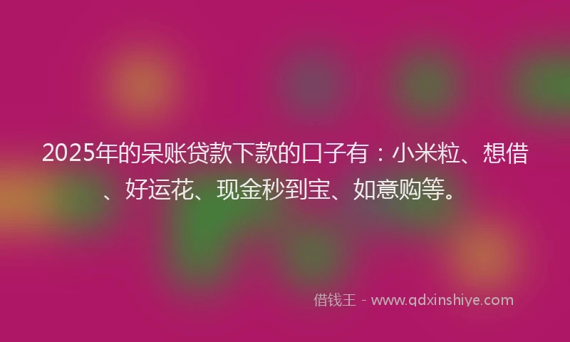 2025年的呆账贷款下款的口子有：小米粒、想借、好运花、现金秒到宝、如意购等。