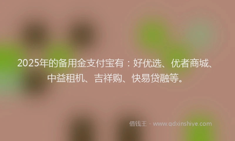 2025年的备用金支付宝有：好优选、优者商城、中益租机、吉祥购、快易贷融等。