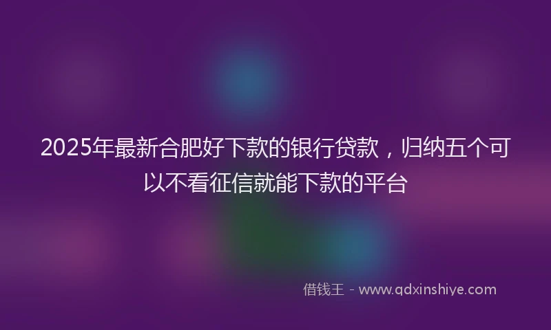 2025年最新合肥好下款的银行贷款，归纳五个可以不看征信就能下款的平台