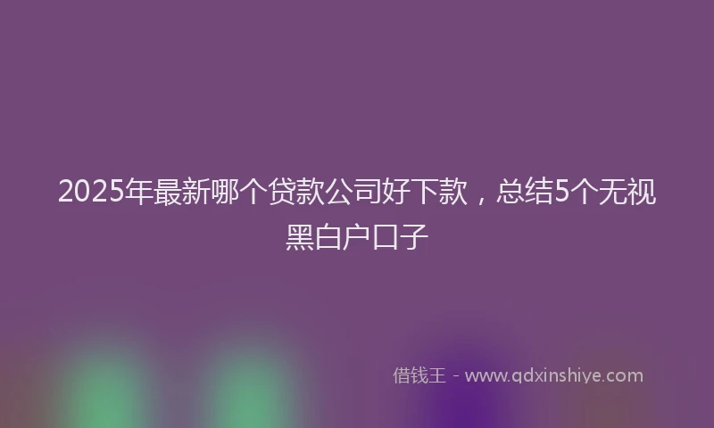 2025年最新哪个贷款公司好下款，总结5个无视黑白户口子