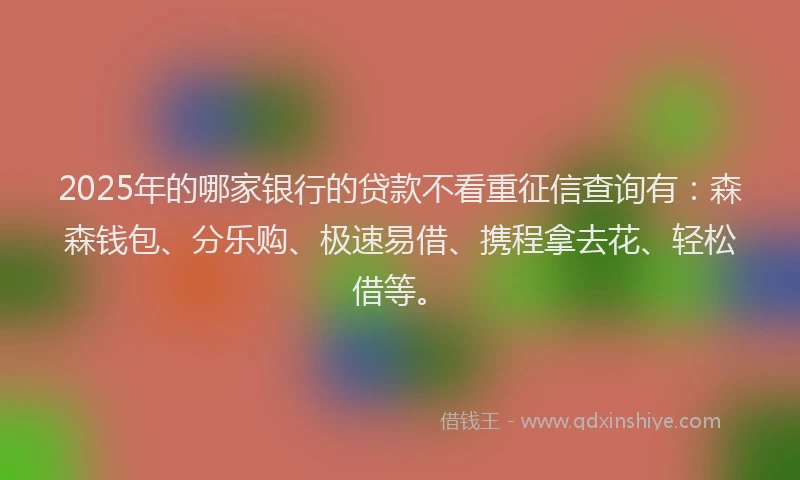 2025年的哪家银行的贷款不看重征信查询有：森森钱包、分乐购、极速易借、携程拿去花、轻松借等。