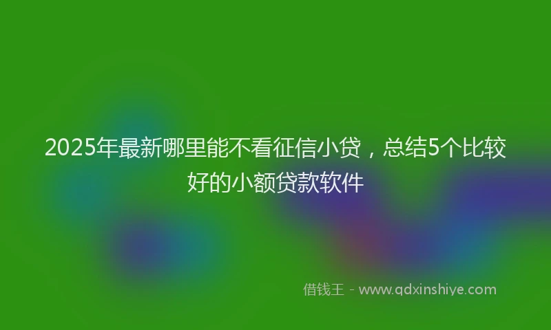 2025年最新哪里能不看征信小贷，总结5个比较好的小额贷款软件