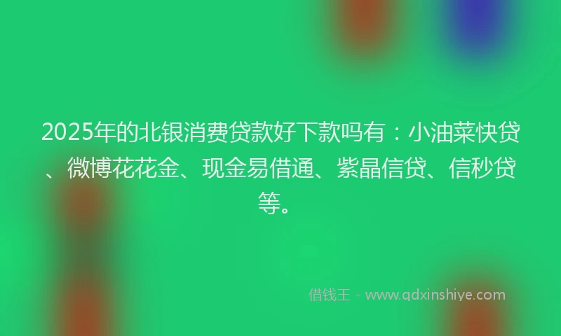 2025年的北银消费贷款好下款吗有：小油菜快贷、微博花花金、现金易借通、紫晶信贷、信秒贷等。