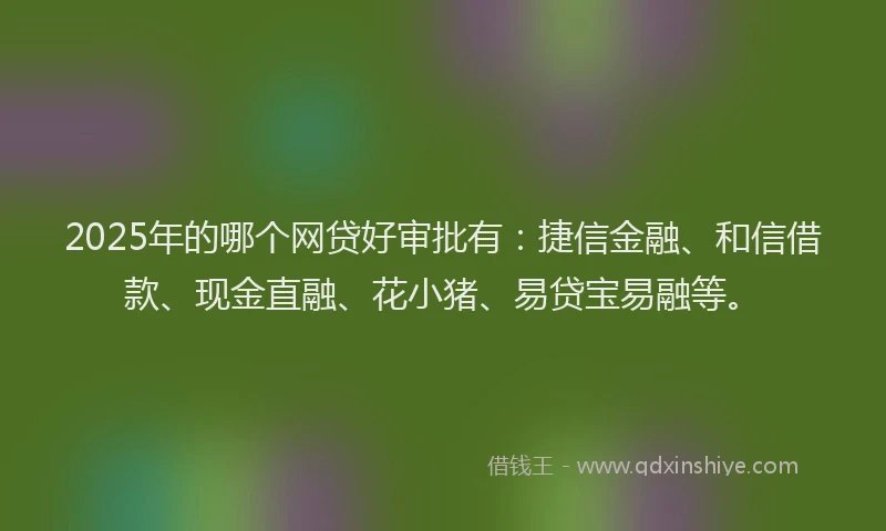 2025年的哪个网贷好审批有：捷信金融、和信借款、现金直融、花小猪、易贷宝易融等。