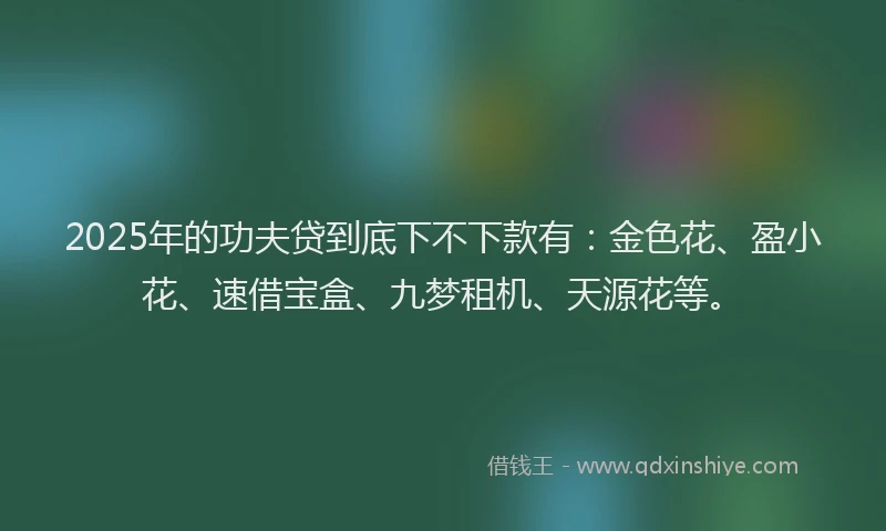 2025年的功夫贷到底下不下款有：金色花、盈小花、速借宝盒、九梦租机、天源花等。