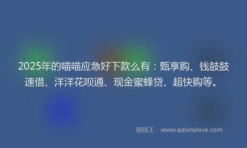 2025年的喵喵应急好下款么有：甄享购、钱鼓鼓速借、洋洋花呗通、现金蜜蜂贷、超快购等。