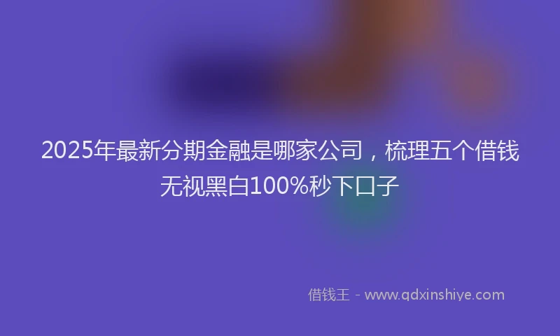 2025年最新分期金融是哪家公司，梳理五个借钱无视黑白100%秒下口子