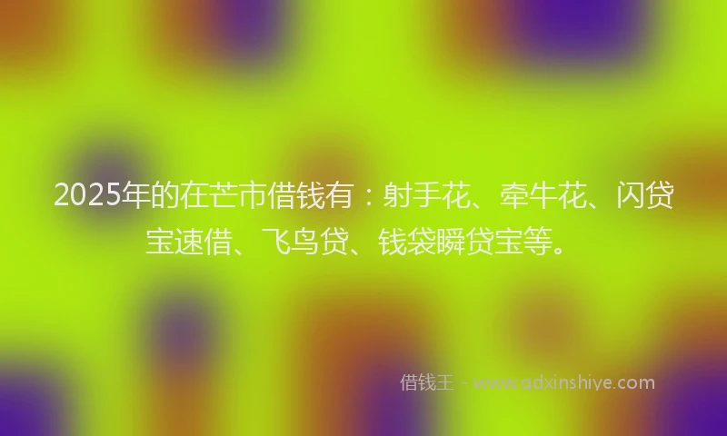 2025年的在芒市借钱有：射手花、牵牛花、闪贷宝速借、飞鸟贷、钱袋瞬贷宝等。