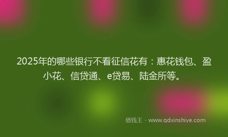 2025年的哪些银行不看征信花有：惠花钱包、盈小花、信贷通、e贷易、陆金所等。