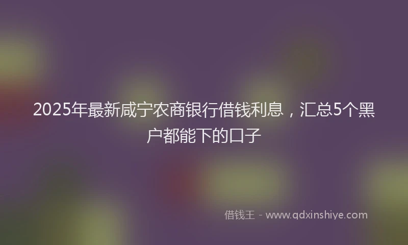 2025年最新咸宁农商银行借钱利息，汇总5个黑户都能下的口子