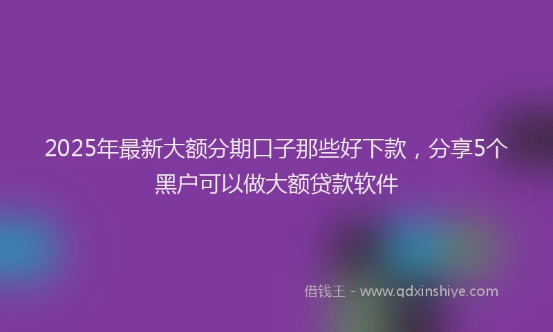 2025年最新大额分期口子那些好下款，分享5个黑户可以做大额贷款软件