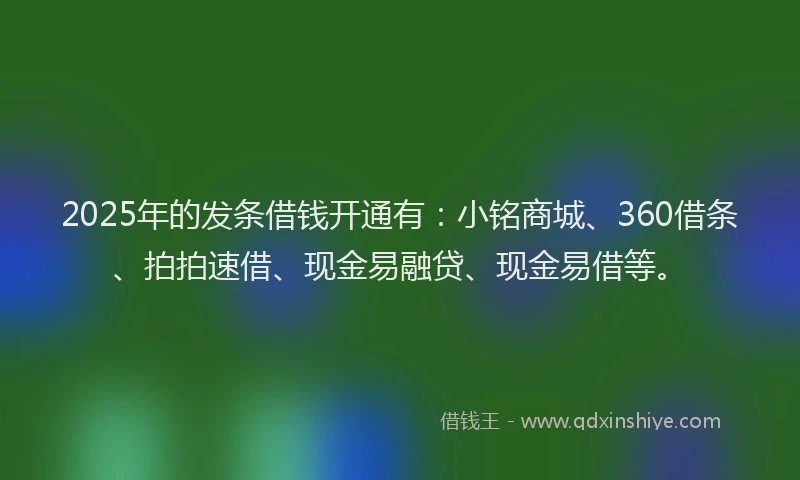 2025年的发条借钱开通有：小铭商城、360借条、拍拍速借、现金易融贷、现金易借等。