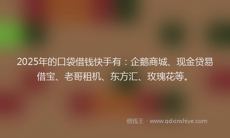 2025年的口袋借钱快手有：企鹅商城、现金贷易借宝、老哥租机、东方汇、玫瑰花等。