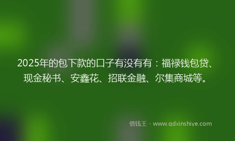 2025年的包下款的口子有没有有：福禄钱包贷、现金秘书、安鑫花、招联金融、尔集商城等。