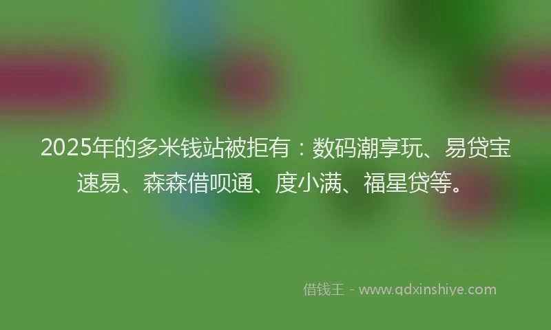 2025年的多米钱站被拒有：数码潮享玩、易贷宝速易、森森借呗通、度小满、福星贷等。