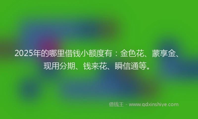 2025年的哪里借钱小额度有：金色花、蒙享金、现用分期、钱来花、瞬信通等。