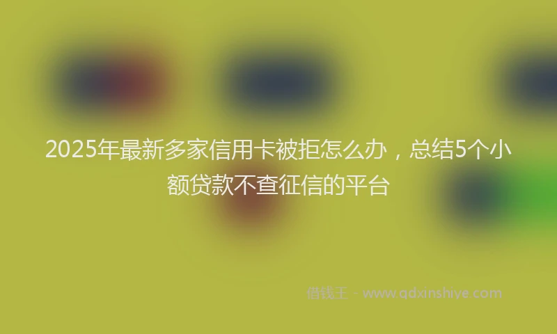 2025年最新多家信用卡被拒怎么办，总结5个小额贷款不查征信的平台